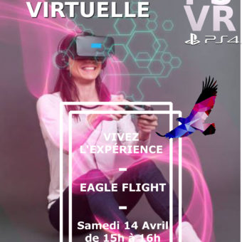 PS VR Eagle Flight Affiche