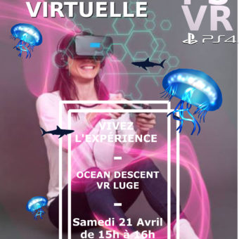 PS VR Ocean Descent et VR Luge Affiche