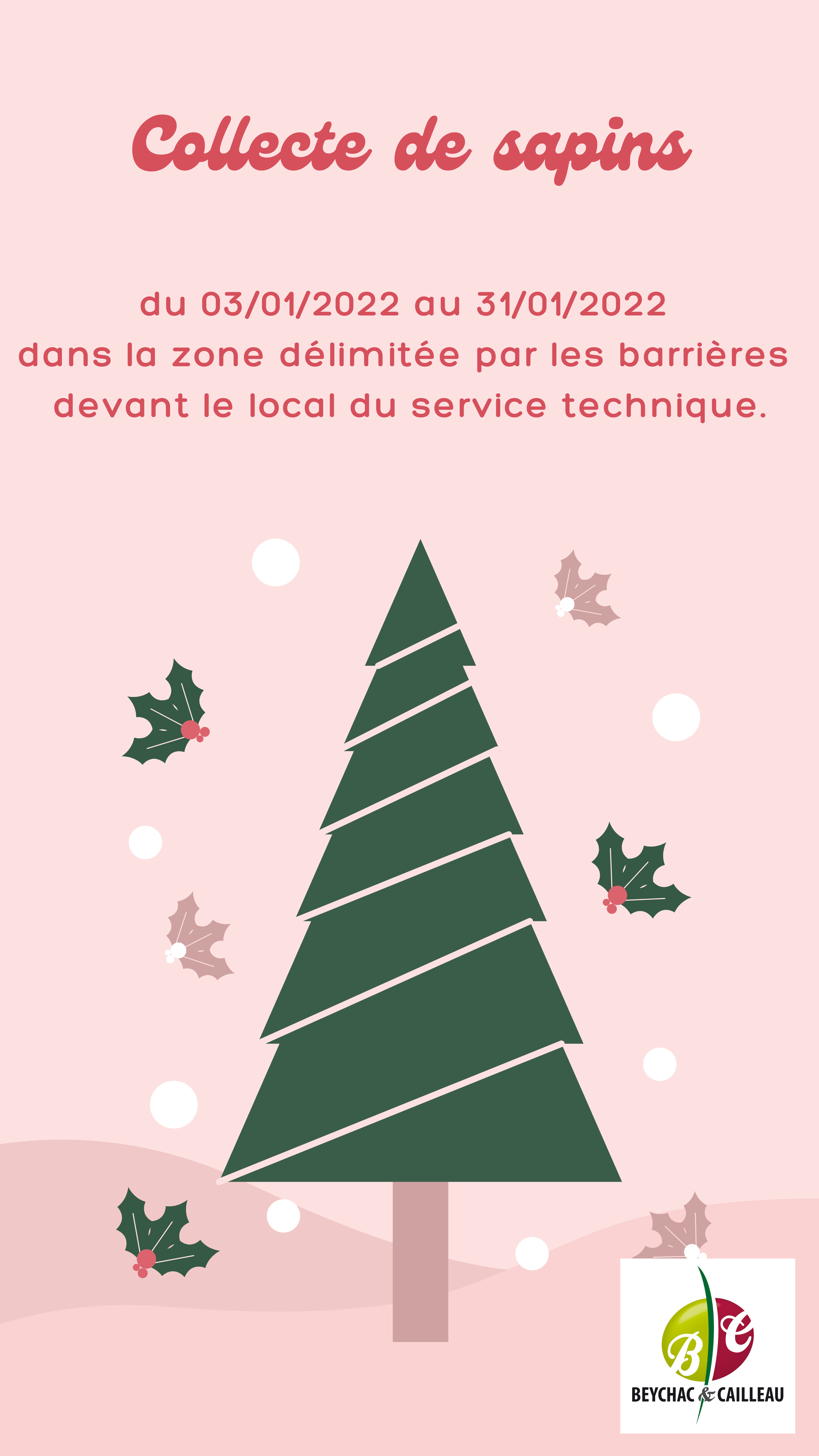 Collecte de sapins